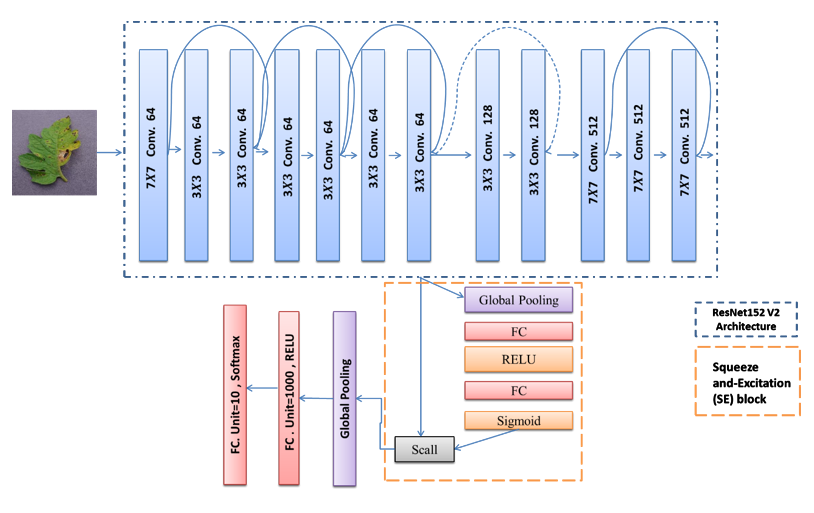 Graphical Abstract