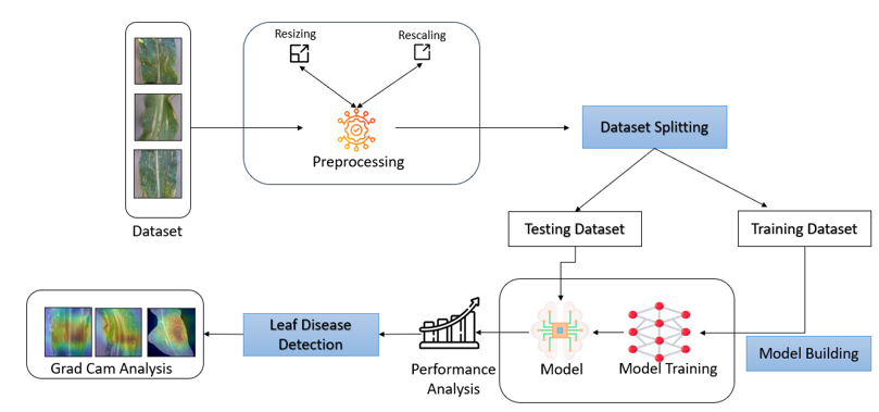 Graphical Abstract