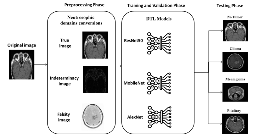 Graphical Abstract