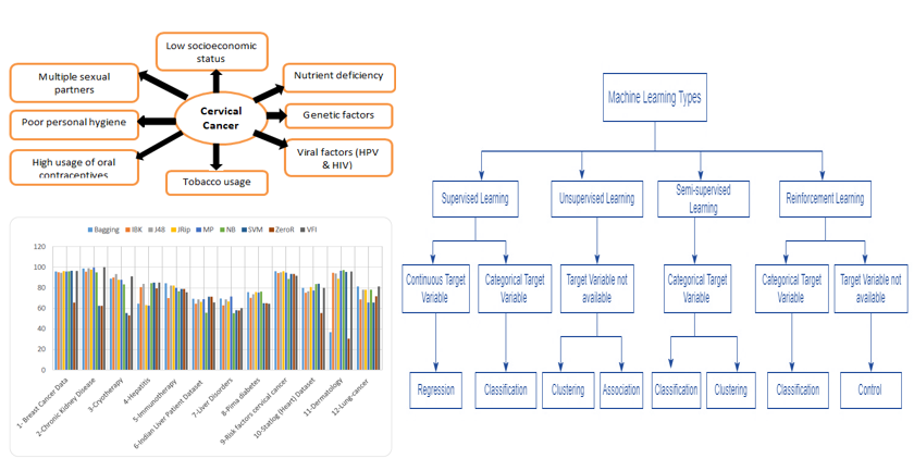 Graphical Abstract