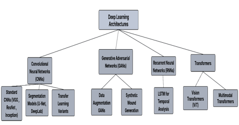 Graphical Abstract
