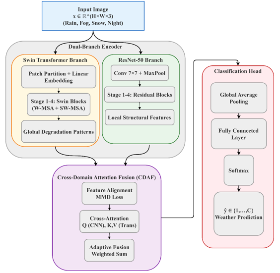 Graphical Abstract