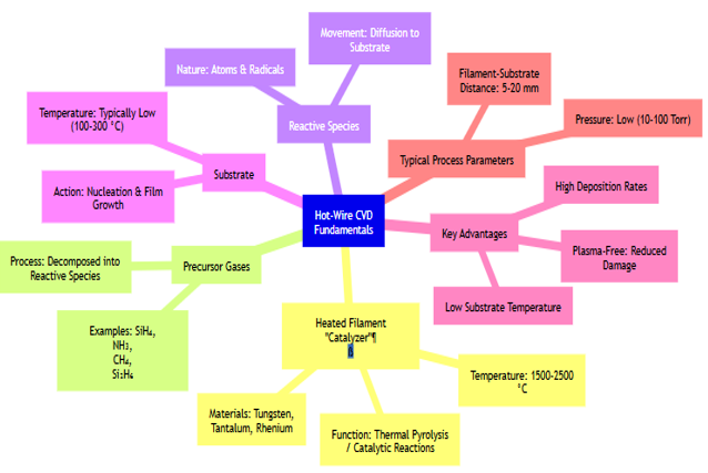 Graphical Abstract