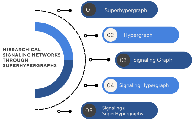 Graphical Abstract